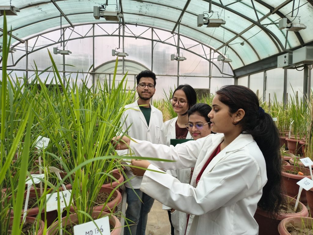 PhD Fellowships 2026