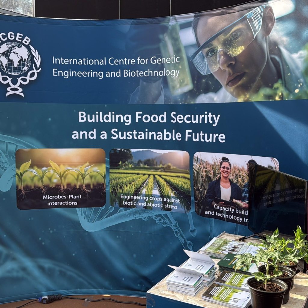 Celebrating World Food Day at FAO